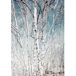 Casa si Gradina - Decoratiuni - Tapet - Autocolant, Padure de mesteacan, 135 x 225 cm - Infinity.ro