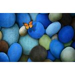 Casa si Gradina - Decoratiuni - Tapet - Fototapet, Zbor peste pietre, 200 x 150 cm - Infinity.ro