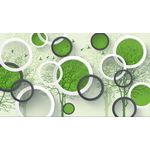 Casa si Gradina - Decoratiuni - Tapet - Fototapet, Pomi cu cercuri albe si negre, 200 x 150 cm - Infinity.ro