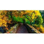 Casa si Gradina - Decoratiuni - Tapet - Fototapet, Pod de piatra, 200 x 150 cm - Infinity.ro