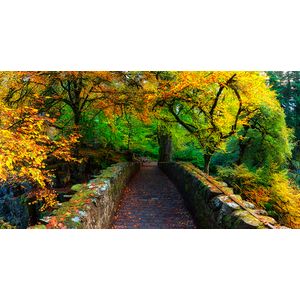 Casa si Gradina - Decoratiuni - Tapet - Infinity.ro