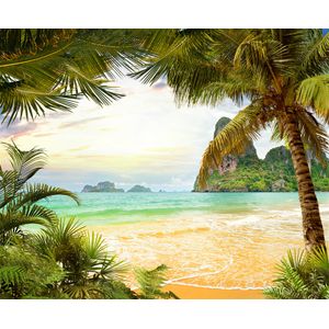 Casa si Gradina - Decoratiuni - Tapet - Infinity.ro