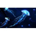 Casa si Gradina - Decoratiuni - Tapet - Fototapet de perete, autoadeziv si lavabil, Meduze luminiscente, 400 x 250 cm - Infinity.ro