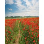 Casa si Gradina - Decoratiuni - Tapet - Fototapet, Natura 26, 150 x 205 cm - Infinity.ro