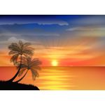 Casa si Gradina - Decoratiuni - Tapet - Fototapet, Palmieri 9, 200 x 150 cm - Infinity.ro