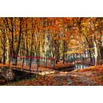 Casa si Gradina - Decoratiuni - Tapet - Fototapet, Padure 67 toamna cu pod, 200 x 150 cm - Infinity.ro