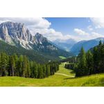Casa si Gradina - Decoratiuni - Tapet - Fototapet, Natura 46, 250 x 200 cm - Infinity.ro