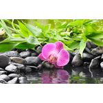 Casa si Gradina - Decoratiuni - Tapet - Fototapet, Orhidee cu bambus, 200 x 150 cm - Infinity.ro