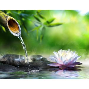 Casa si Gradina - Decoratiuni - Tapet - Infinity.ro