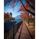 Casa si Gradina - Decoratiuni - Tapet - Fototapet, Natura 44, 150 x 205 cm - Infinity.ro