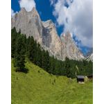 Casa si Gradina - Decoratiuni - Tapet - Fototapet, Natura 47, 150 x 205 cm - Infinity.ro