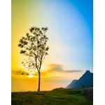 Casa si Gradina - Decoratiuni - Tapet - Fototapet, Natura 27, 150 x 205 cm - Infinity.ro