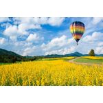 Casa si Gradina - Decoratiuni - Tapet - Fototapet, Natura 63, 200 x 150 cm - Infinity.ro