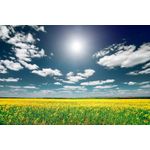 Casa si Gradina - Decoratiuni - Tapet - Fototapet, Natura 65, 200 x 150 cm - Infinity.ro