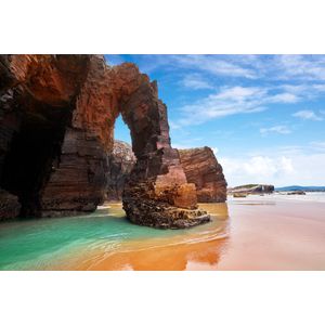 Casa si Gradina - Decoratiuni - Tapet - Infinity.ro