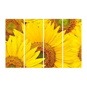 Tablou multicanvas 4 piese Flori 2, 120 x 85 cm