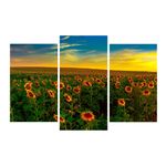 Casa si Gradina - Decoratiuni - Tablouri - Tablou multicanvas 3 piese Flori 10, 120 x 85 cm - Infinity.ro