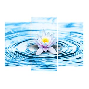 Tablou multicanvas 3 piese Flori 6, 120 x 85 cm