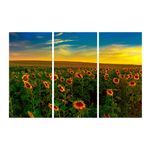 Casa si Gradina - Decoratiuni - Tablouri - Tablou multicanvas 3 piese Flori 13, 120 x 80 cm - Infinity.ro