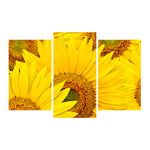 Casa si Gradina - Decoratiuni - Tablouri - Tablou multicanvas 3 piese Flori 2, 120 x 85 cm - Infinity.ro