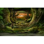 Casa si Gradina - Decoratiuni - Tapet - Fototapet de perete, autoadeziv si lavabil, Tunel prin padure, 250 x 200 cm - Infinity.ro