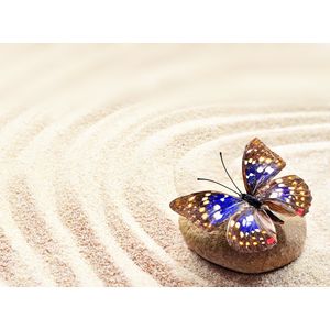 Tablou canvas Sand&Stone 35