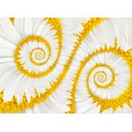 Casa si Gradina - Decoratiuni - Tablouri - Tablou canvas Spirale albe, 45 x 30 cm - Infinity.ro