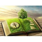 Casa si Gradina - Decoratiuni - Tapet - Fototapet de perete, autoadeziv si lavabil, Cartea timpului, 250 x 200 cm - Infinity.ro