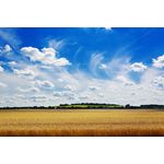 Casa si Gradina - Decoratiuni - Tapet - Fototapet de perete, autoadeziv si lavabil, Natura 141, 400 x 250 cm - Infinity.ro