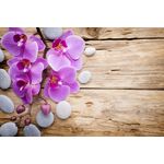 Casa si Gradina - Decoratiuni - Tapet - Fototapet de perete, autoadeziv si lavabil, Orhidee roz cu pietre, 220 x 135 cm - Infinity.ro
