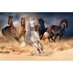 Casa si Gradina - Decoratiuni - Tapet - Fototapet, autocolant, Cai alergand in desert, 400 x 250 cm - Infinity.ro