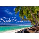 Casa si Gradina - Decoratiuni - Tapet - Fototapet, autocolant, Palmieri, plaja tropicala, 400 x 250 cm - Infinity.ro