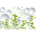 Casa si Gradina - Decoratiuni - Tapet - Fototapet, autocolant, Inimioare verzi si cercuri albe, 400 x 250 cm - Infinity.ro