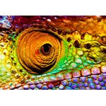 Casa si Gradina - Decoratiuni - Tapet - Fototapet de perete, autoadeziv si lavabil, Cameleon, 300 x 250 cm - Infinity.ro