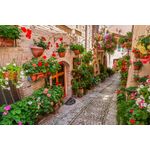 Casa si Gradina - Decoratiuni - Tapet - Fototapet, autocolant, Strada cu flori, 350 x 250 cm - Infinity.ro