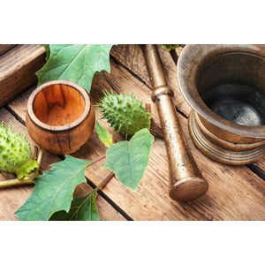 Casa si Gradina - Decoratiuni - Tapet - Infinity.ro