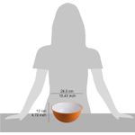Casa si Gradina - Bucatarie si vesela - Vesela si tacamuri - Farfurii si boluri - Bol pentru salata Sanaliving d26,5 cm x H12 3,5L, portocaliu - Infinity.ro
