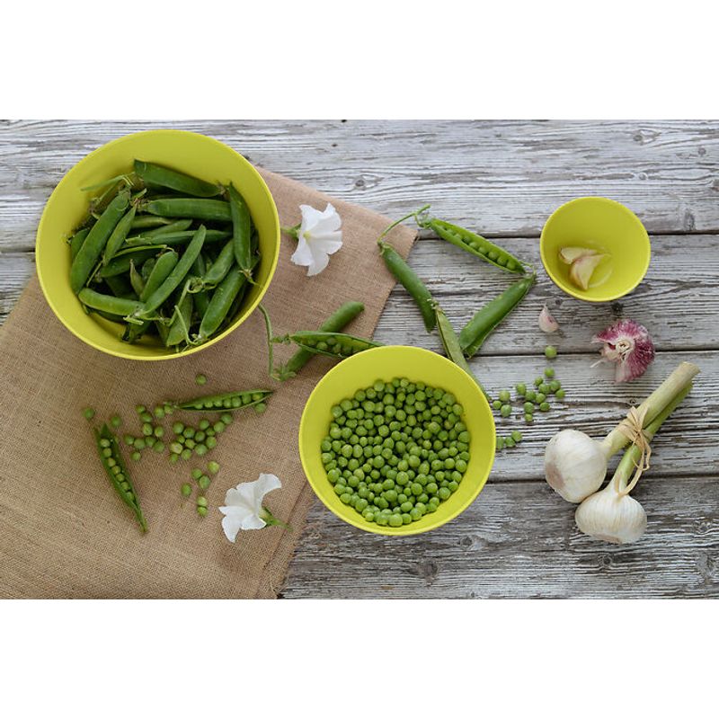 Casa si Gradina - Bucatarie si vesela - Vesela si tacamuri - Farfurii si boluri - Bol Ecoliving ø 18,5 X h 10 cm 1,5 lt , verde - Infinity.ro