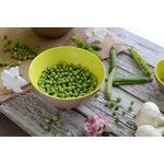 Casa si Gradina - Bucatarie si vesela - Vesela si tacamuri - Farfurii si boluri - Bol Ecoliving ø 24,5 X h 12 cm 3,5 lt , verde - Infinity.ro