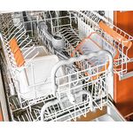 Casa si Gradina - Bucatarie si vesela - Organizare si depozitare bucatarie - Cutii alimentare - Set 3 cutii de conservare alimente Sanaliving 15x11x5 cm 0.4.L, multicolor - Infinity.ro