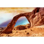 Casa si Gradina - Decoratiuni - Tapet - Autocolant, Natura 74, 270 x 200 cm - Infinity.ro