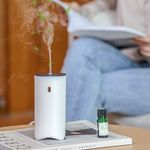 Casa si Gradina - Decoratiuni - Aromaterapie si lumanari - Difuzoare aromaterapie - Difuzor aromaterapie cu ultrasunete Trendmark, alimentare USB C, rezervor 100ml, inchidere automata, lumina LED, alb - Infinity.ro