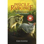 Carti si Birotica - Carti - Carti pentru copii - Basme si povesti - Pisicile razboinice vol.33-Viziunea din umbre.Un clan destramat, Erin Hunter - Infinity.ro