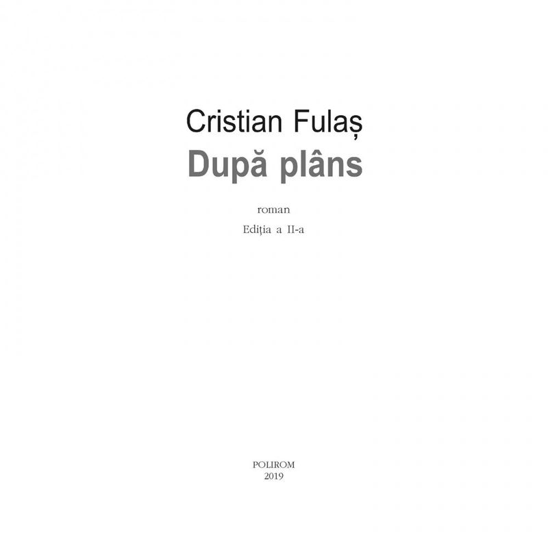 Carti si Birotica - Carti - Fictiune - Dupa plans - Cristian Fulas, ed. 2019 - Infinity.ro