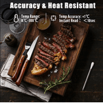 Casa si Gradina - Bucatarie si vesela - Ustensile bucatarie - Ustensile de masurat de bucatarie - Termometru bucatarie pentru gatit, bluetooth ,folosit in cuptor, gratar, carne, reincarcabil - Infinity.ro