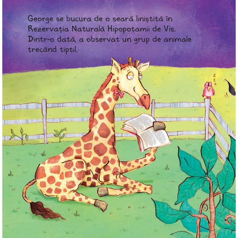 Carti si Birotica - Carti - Carti pentru copii - Basme si povesti - Clubul Alb si Negru - Alice Hemming, ed 2020 - Infinity.ro