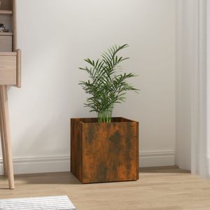 Casa si Gradina - Gradinarit si plante - Plante si ghivece - Infinity.ro