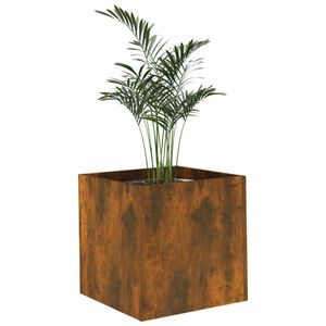 Casa si Gradina - Gradinarit si plante - Plante si ghivece - Infinity.ro