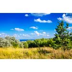 Casa si Gradina - Decoratiuni - Tapet - Fototapet, autocolant, Natura 48, 250 x 200 cm - Infinity.ro