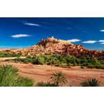 Casa si Gradina - Decoratiuni - Decoratiuni perete - Autocolant, Natura 53, 220 x 135 cm - Infinity.ro